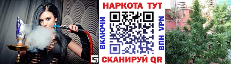  Cocaine Кизляр