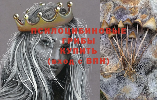 ПСИЛОЦИБИНОВЫЕ ГРИБЫ Мегион