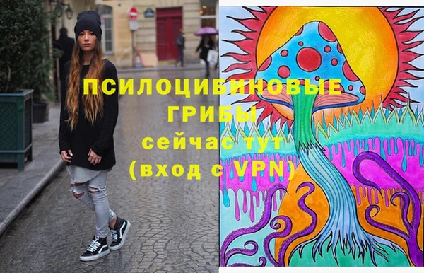 ПСИЛОЦИБИНОВЫЕ ГРИБЫ Мегион