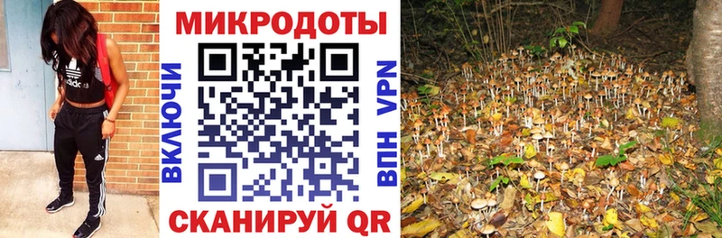 Галлюциногенные грибы Cubensis  Купить  Кизляр 